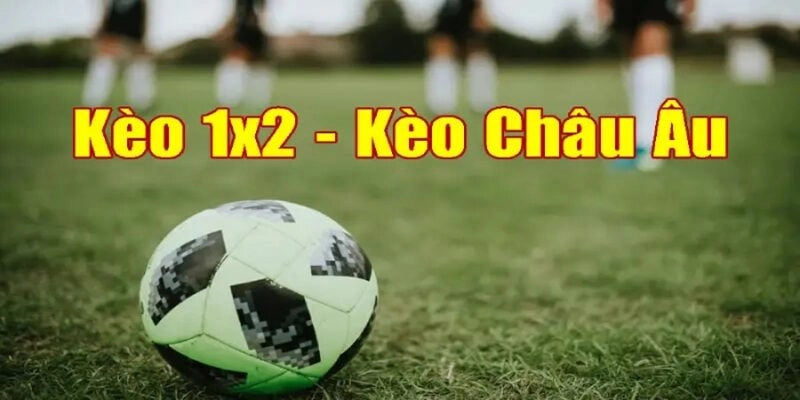 Công thức tính lợi nhuận kèo 1x2 vô cùng đơn giản 